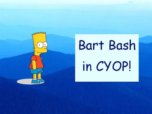 Bart Bash CYOP